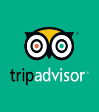 TripAdvisor Reviews